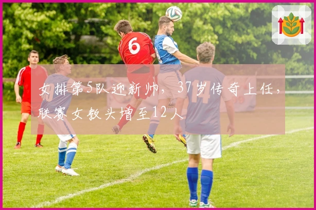 女排第5队迎新帅，37岁传奇上任，联赛女教头增至12人