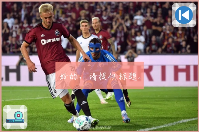 好的，请提供标题。