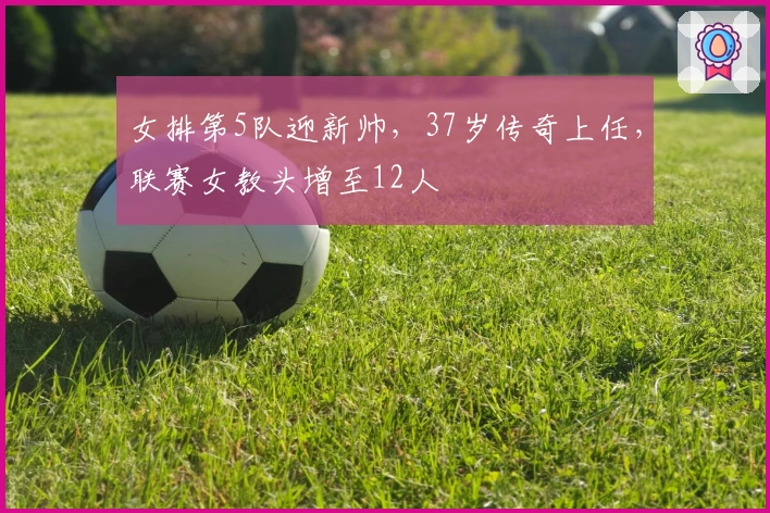 女排第5队迎新帅，37岁传奇上任，联赛女教头增至12人